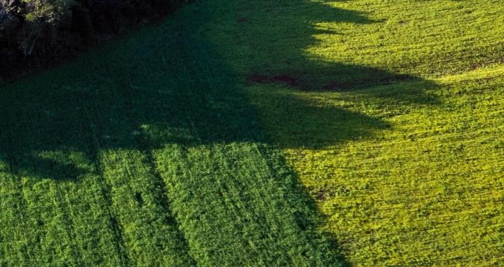 Arial view of farms in Brazil adjacent to large wooded area.