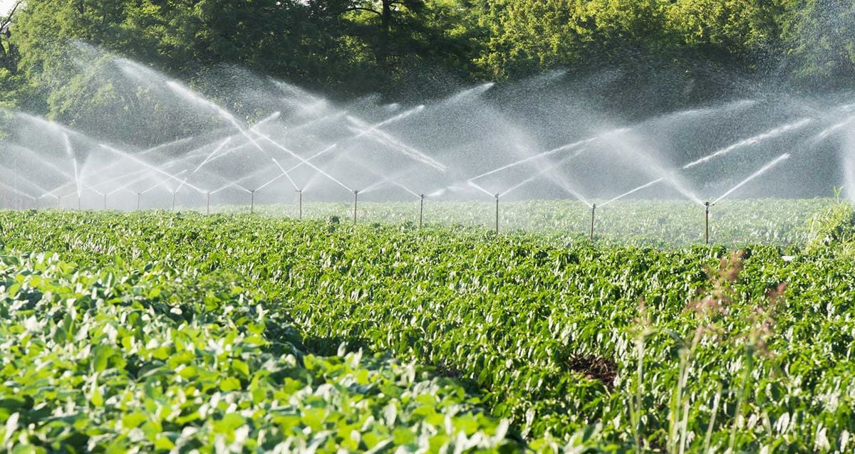 FSMA Final rule on pre-harvest agricultural water