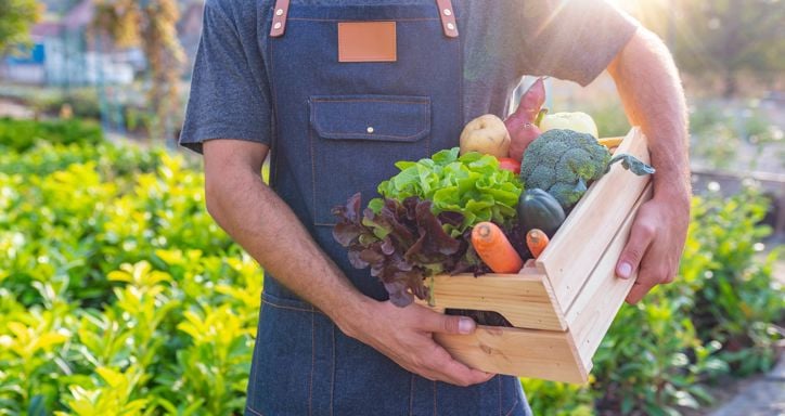 Male Farmer Holding Fresh Ripe Vegetables in Wooden Box