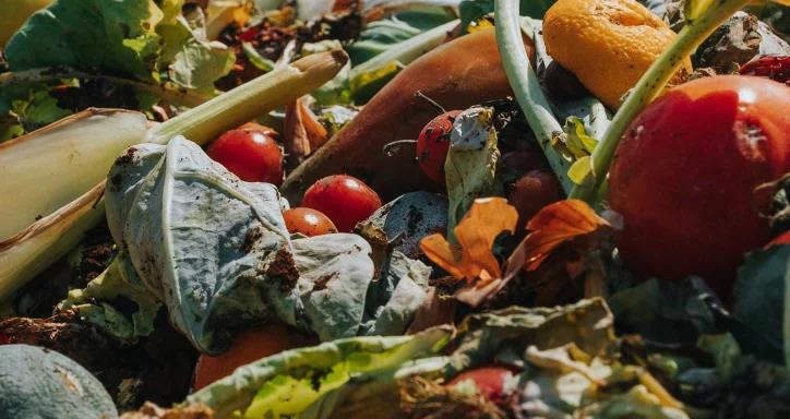 bio waste on vegetable farm, heap of organic waste